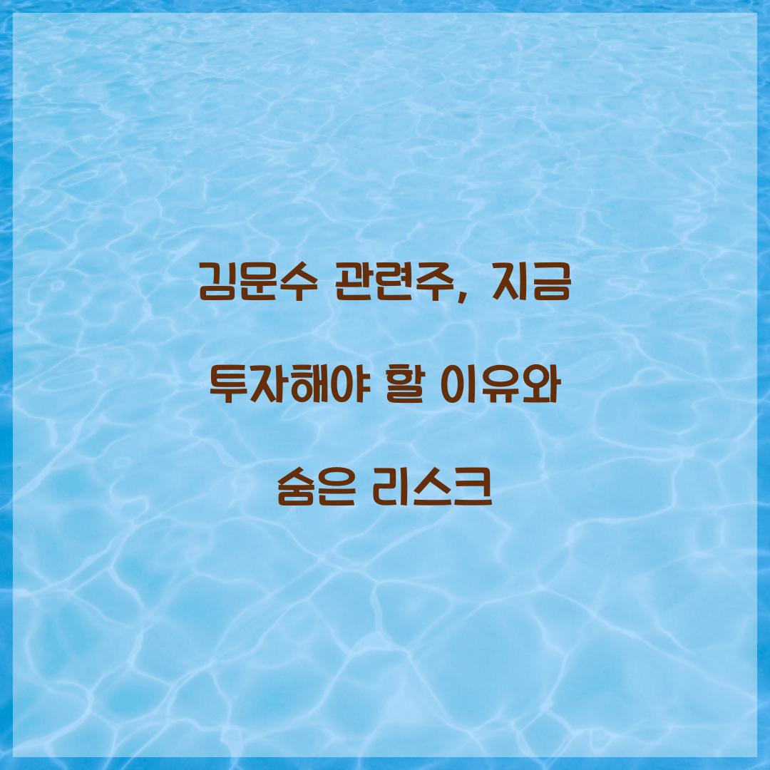 김문수 관련주