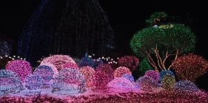 서울 근교 5월 여행지