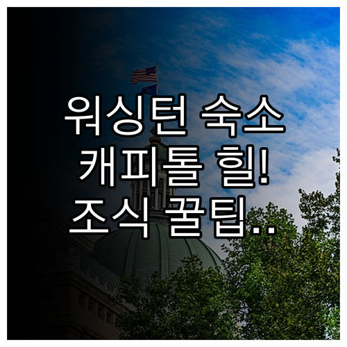 워싱턴 D.C. 여행 캐피톨 힐 주변..