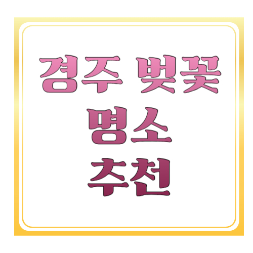 경주 벚꽃 명소 추천: 보문호수부터 대릉원 돌담길까지, 봄에 꼭 걷는 코스