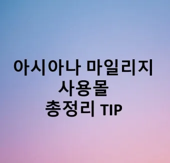 아시아나 마일리지 사용방법과 활용 팁_21