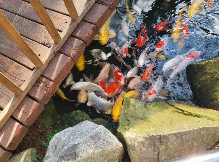 용도수목원