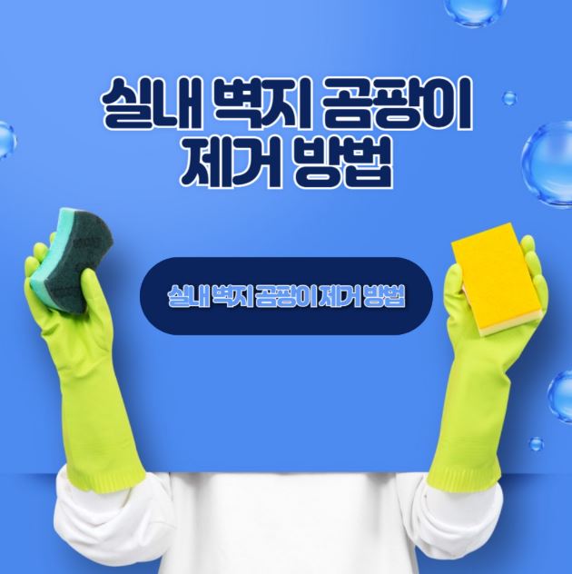 실내 벽지 곰팡이 제거 방법