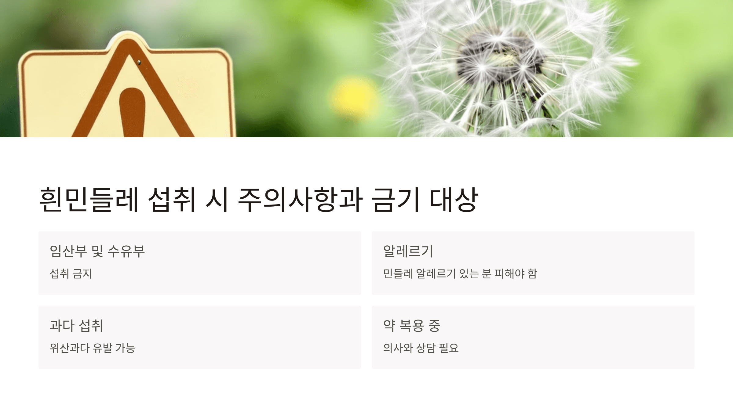 흰민들레 사진입니다.