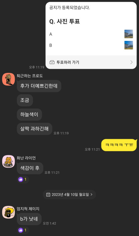 사진 비교 응답 9