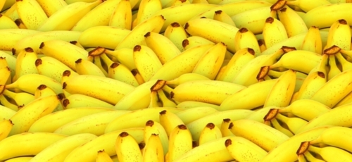 바나나 이미지