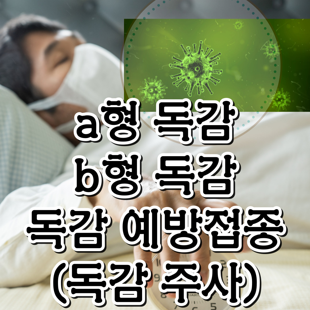 a형 독감-b형 독감-독감 예방 접종(독감 주사)