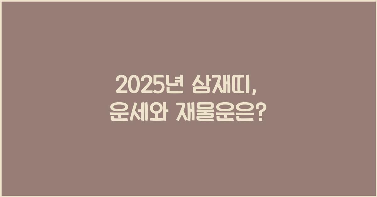 2025년 삼재띠