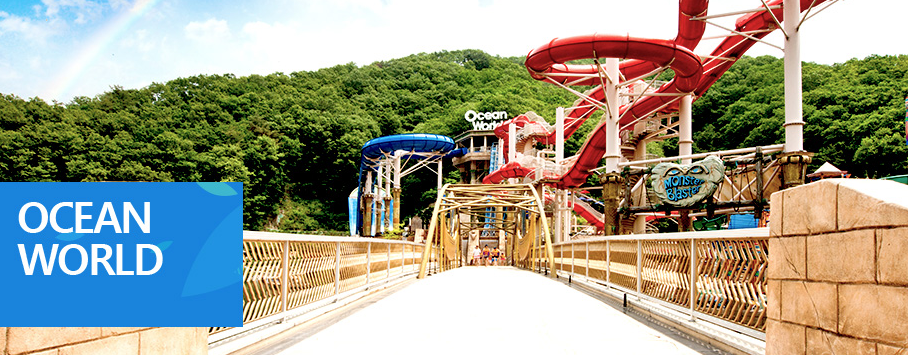 오션월드 입장안내