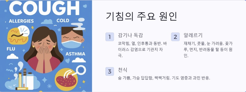 기침의 주요 원인 이미지