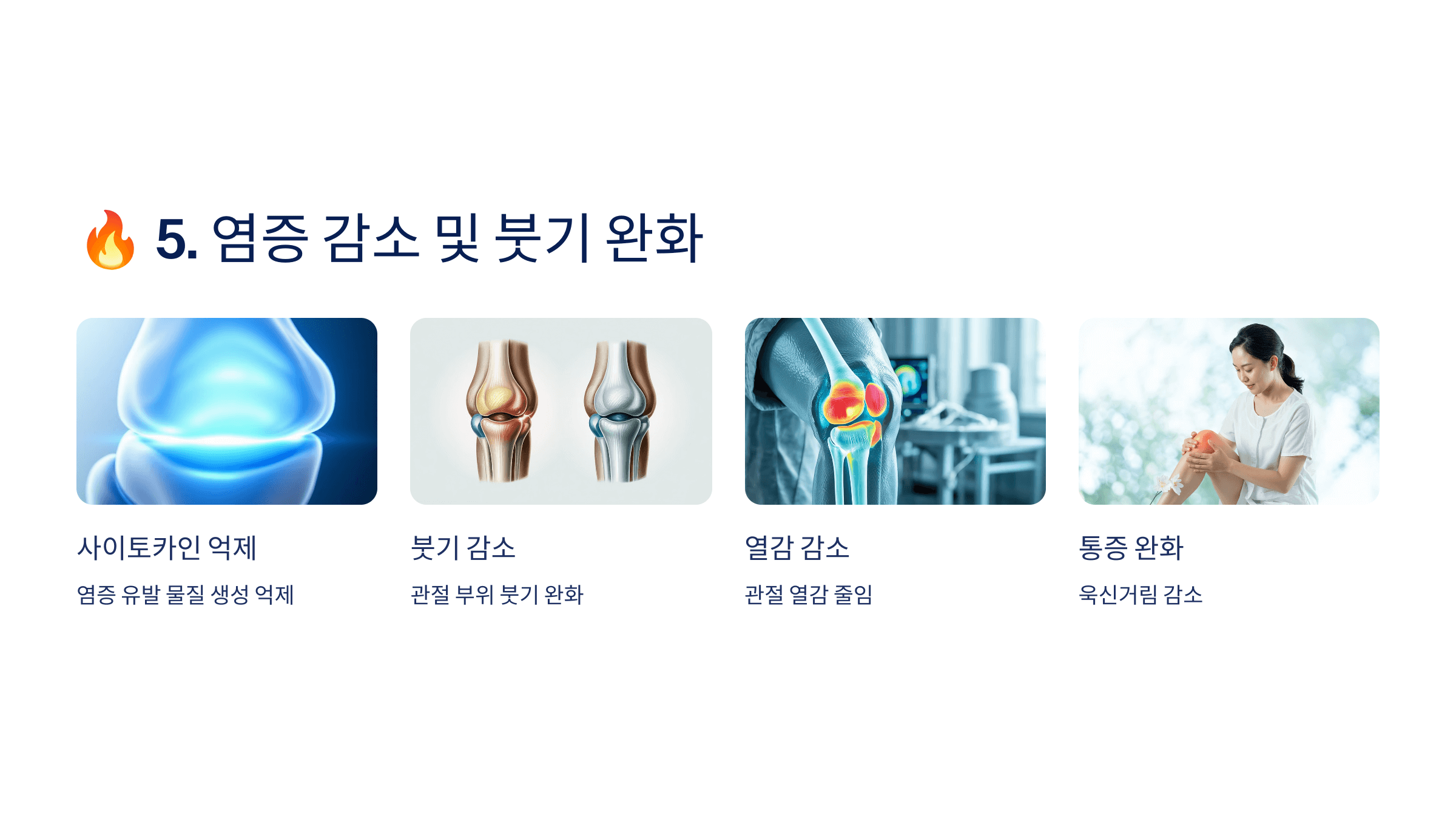 콘드로이친과 관련된 사진입니다.