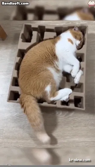 img.webp?credential=yqXZFxpELC7KVnFOS48ylbz2pIh7yKj8&expires=1767193199&allow_ip=&allow_referer=&signature=Bn8cVQO1jojRT3FxXW8QqaBa%2FjI%3D