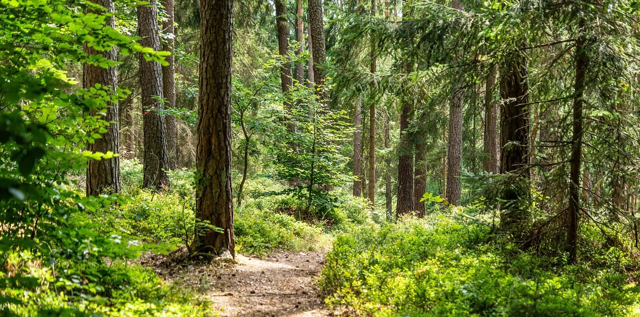 내가 실제로 가본 용인시 수지구 숨은 명소 5곳