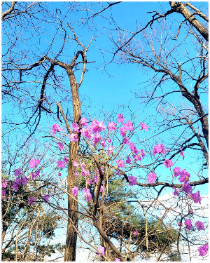 설봉산