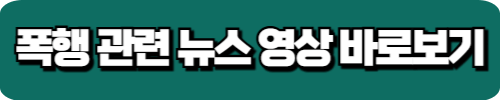 폭행관련 뉴스 영상 바로보기