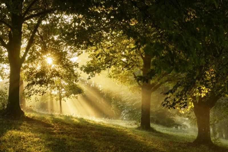 갑을병정 무기경신임계 뜻