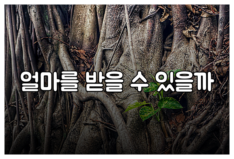 얼마를 받을 수 있을까