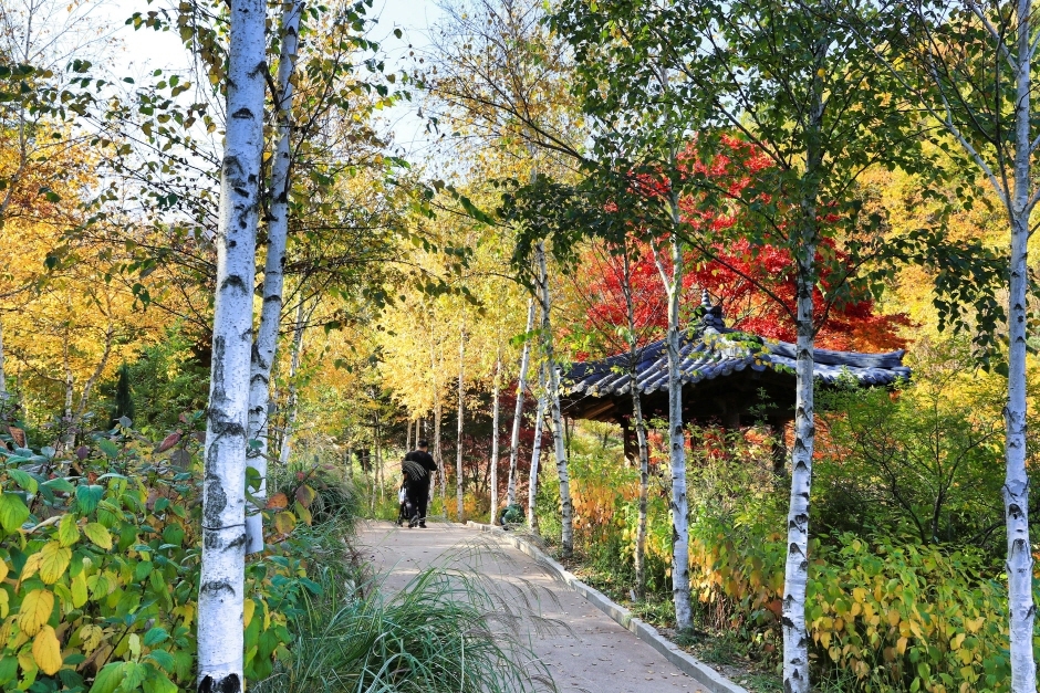 서울경기 가을 단풍 여행지 추천 명소