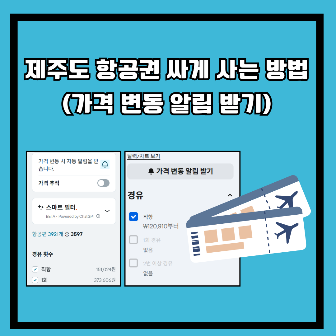 제주도 항공권 싸게 사는 방법 (가격 변동 알림 받기)