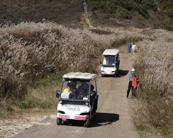 황매산 억새축제_17
