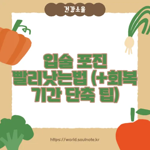 입술 포진 빨리낫는법 (+회복 기간 단축 팁)