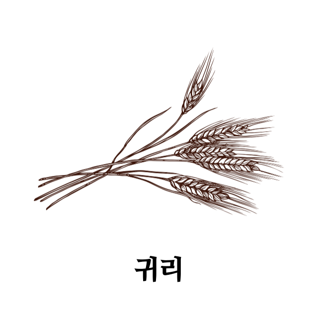 단백질-많은-음식