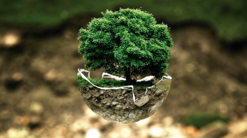 환경과 예술: 지속 가능성을 추구하는 현대미술