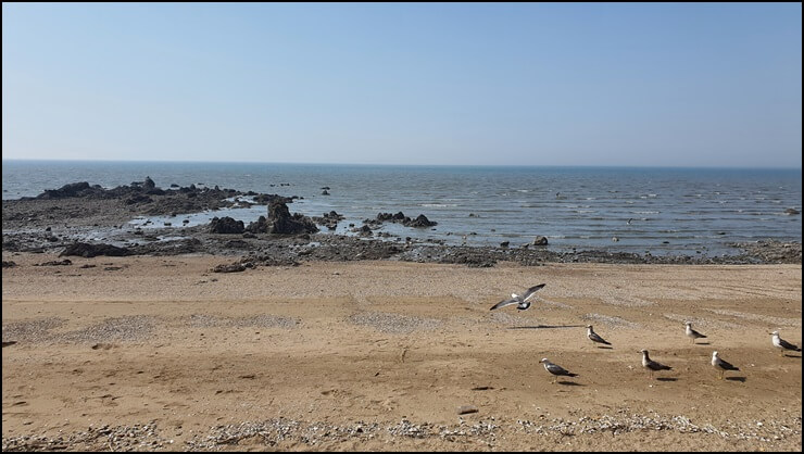 물이-들어오고-있는-해변