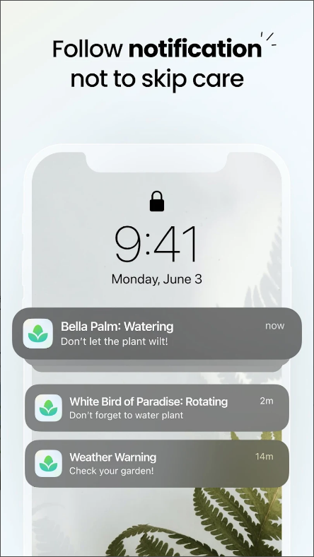 식물 식별(Plant App) 어플, AI 식물 식별 하기, 사진으로 식물 이름 찾기
