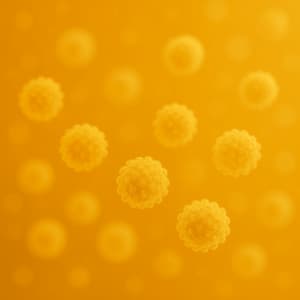 독감예방접종 무료대상날짜 - 임신부