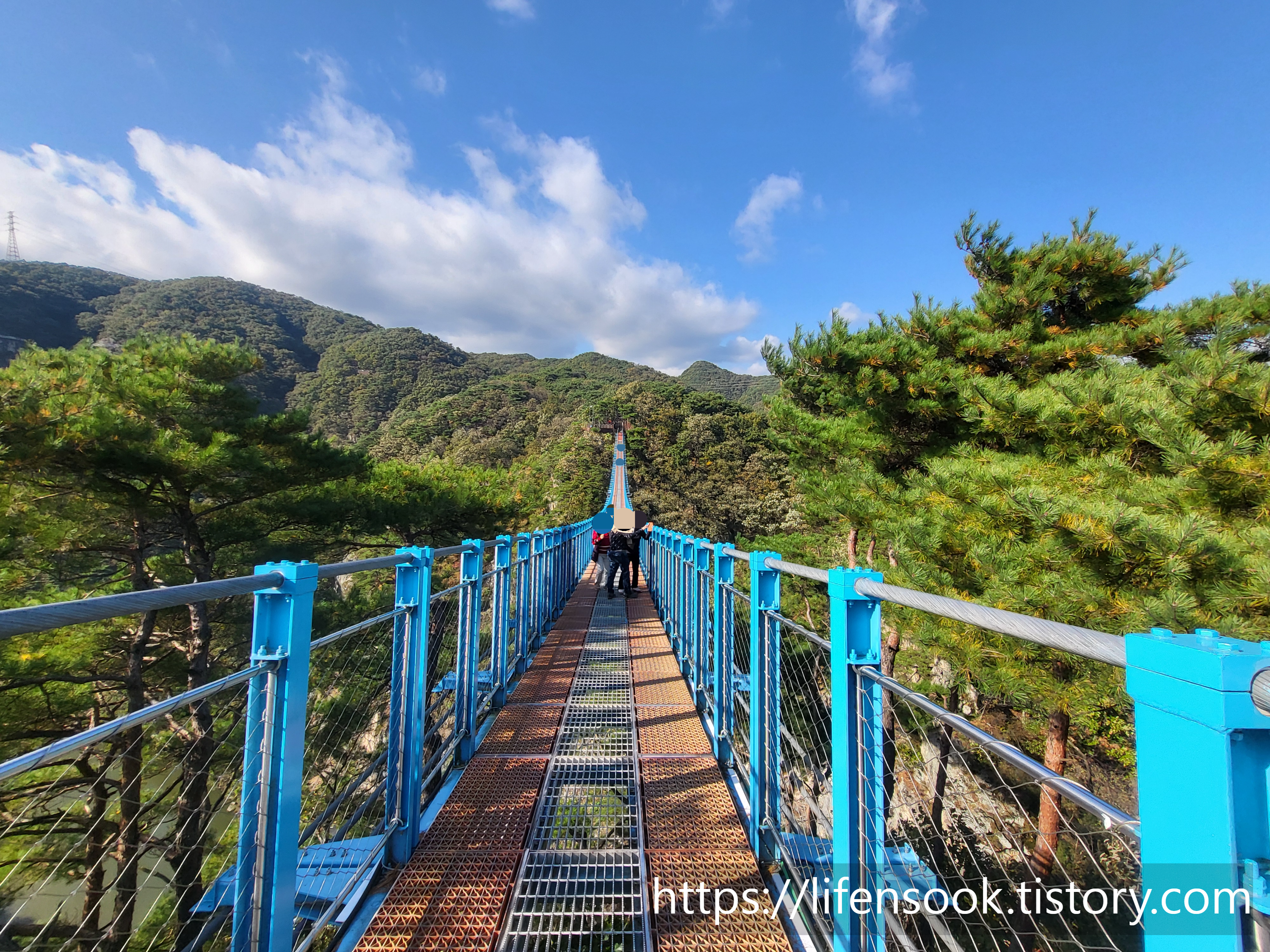 소금산 출렁다리 1