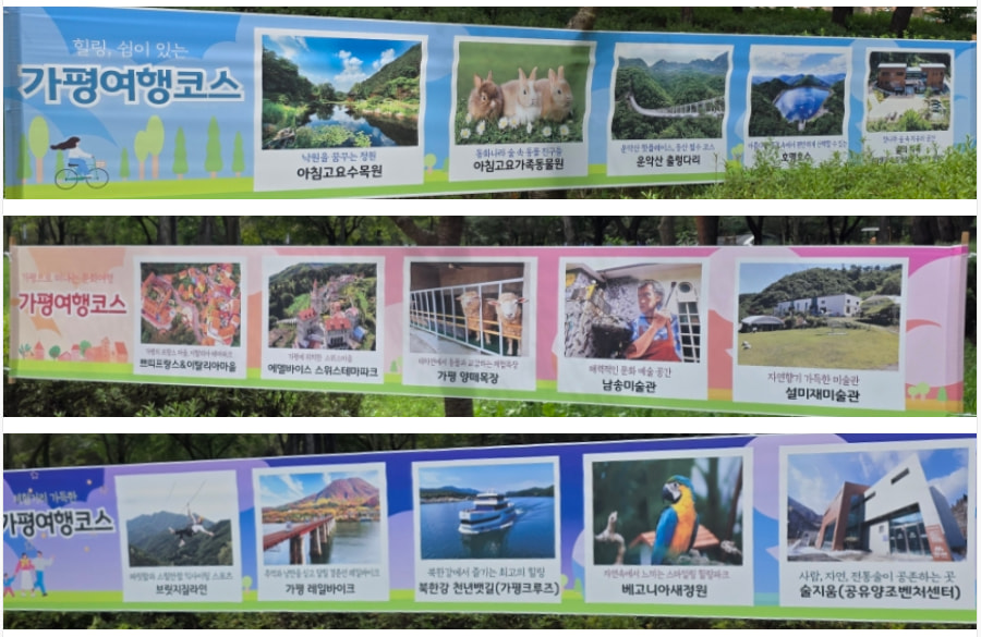 자라섬 (2025 꽃 페스타)