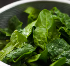 눈 건강 상태 관리방법