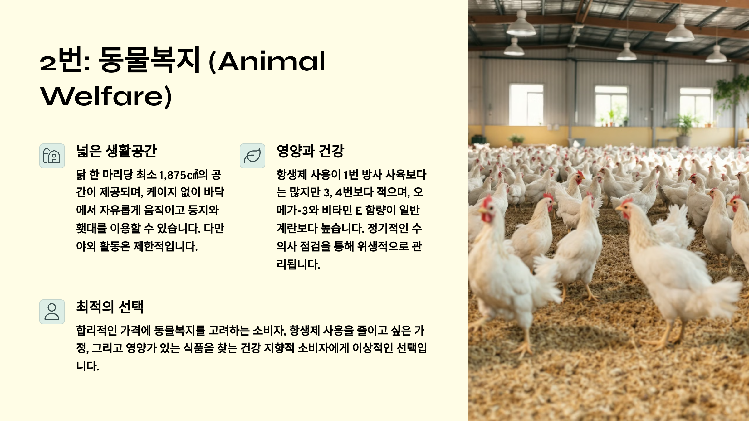 동물복지
