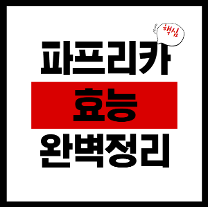 파프리카 효능