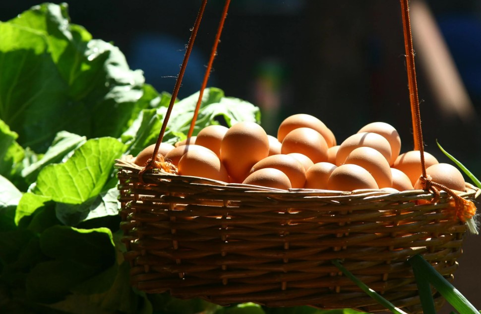 계란 다이어트 관련 사진