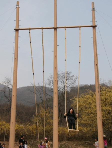 2025 이천백사 산수유꽃축제 완전 정복 가이드