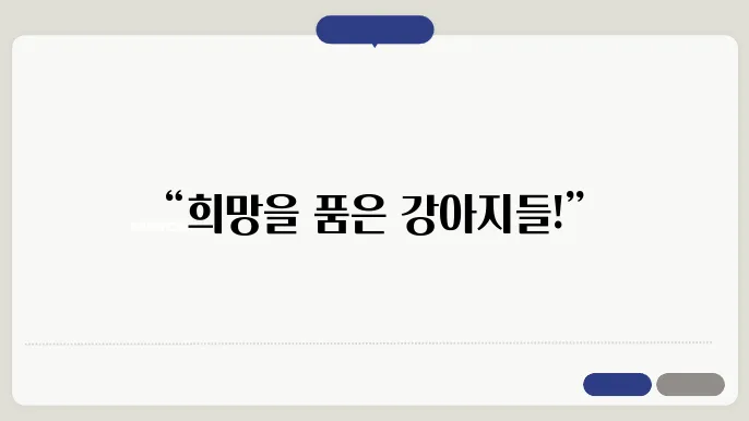 의왕강아지보호소 친구에게 소개받은곳