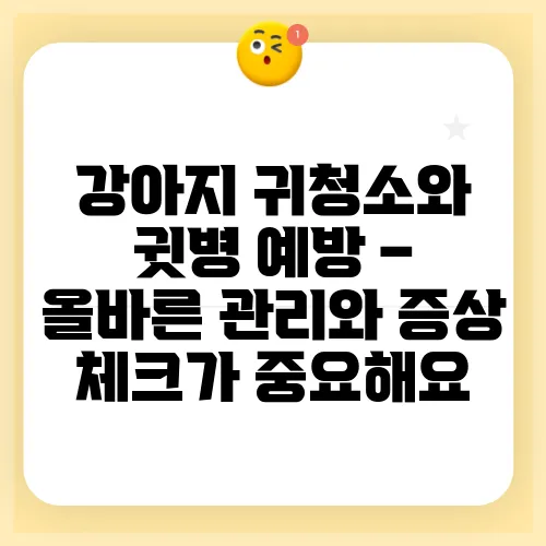 강아지 귀청소와 귓병 예방 – 올바른 관리와 증상 체크가 중요해요