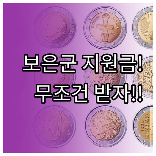 보은군 민생지원금 결초보은상품권 지급..