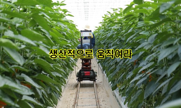 생산적으로 움직여라