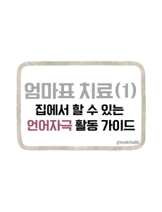 엄마표언어자극