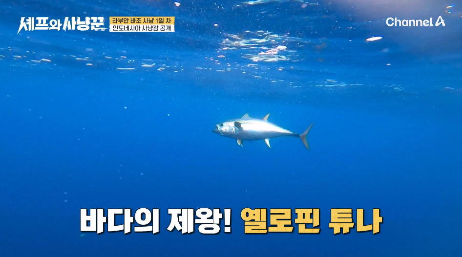 연예인들이 멧돼지 사냥해오면 월클셰프가 요리해주는 미친 예능.jpg | 인스티즈