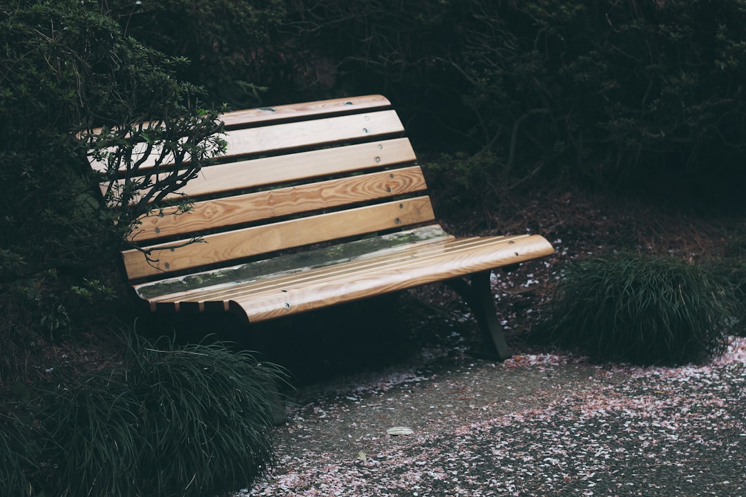 bench