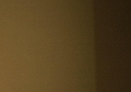 모의고사 성적표 조회