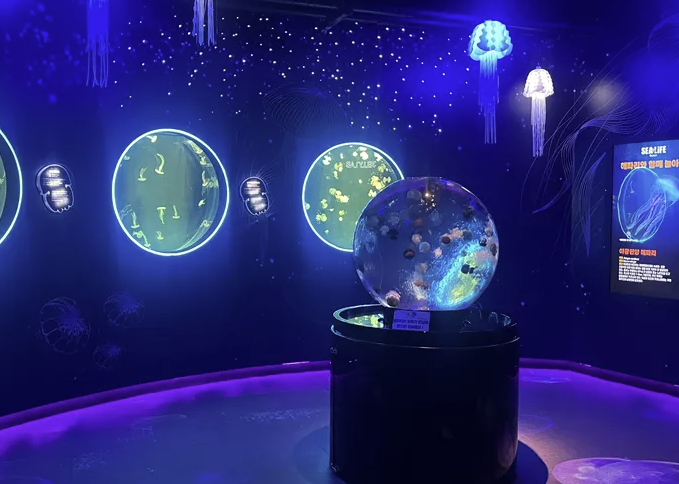부산 씨라이프 아쿠아리움