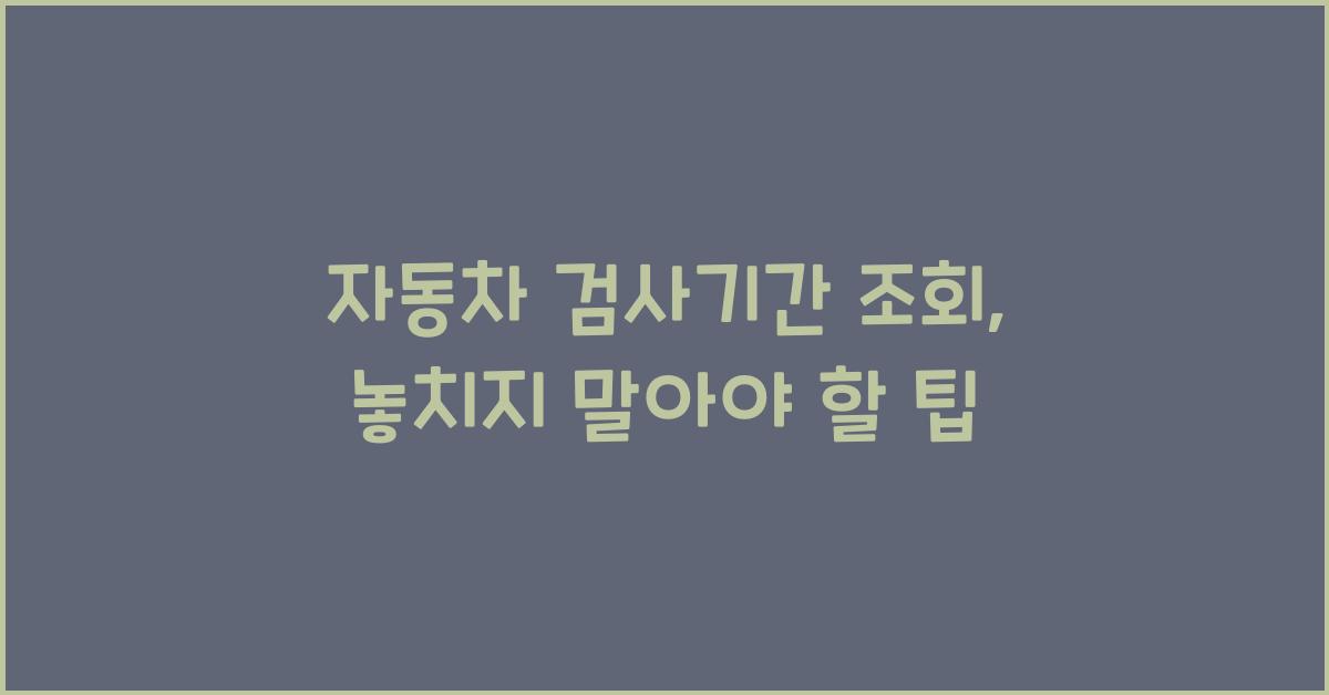 자동차 검사기간 조회