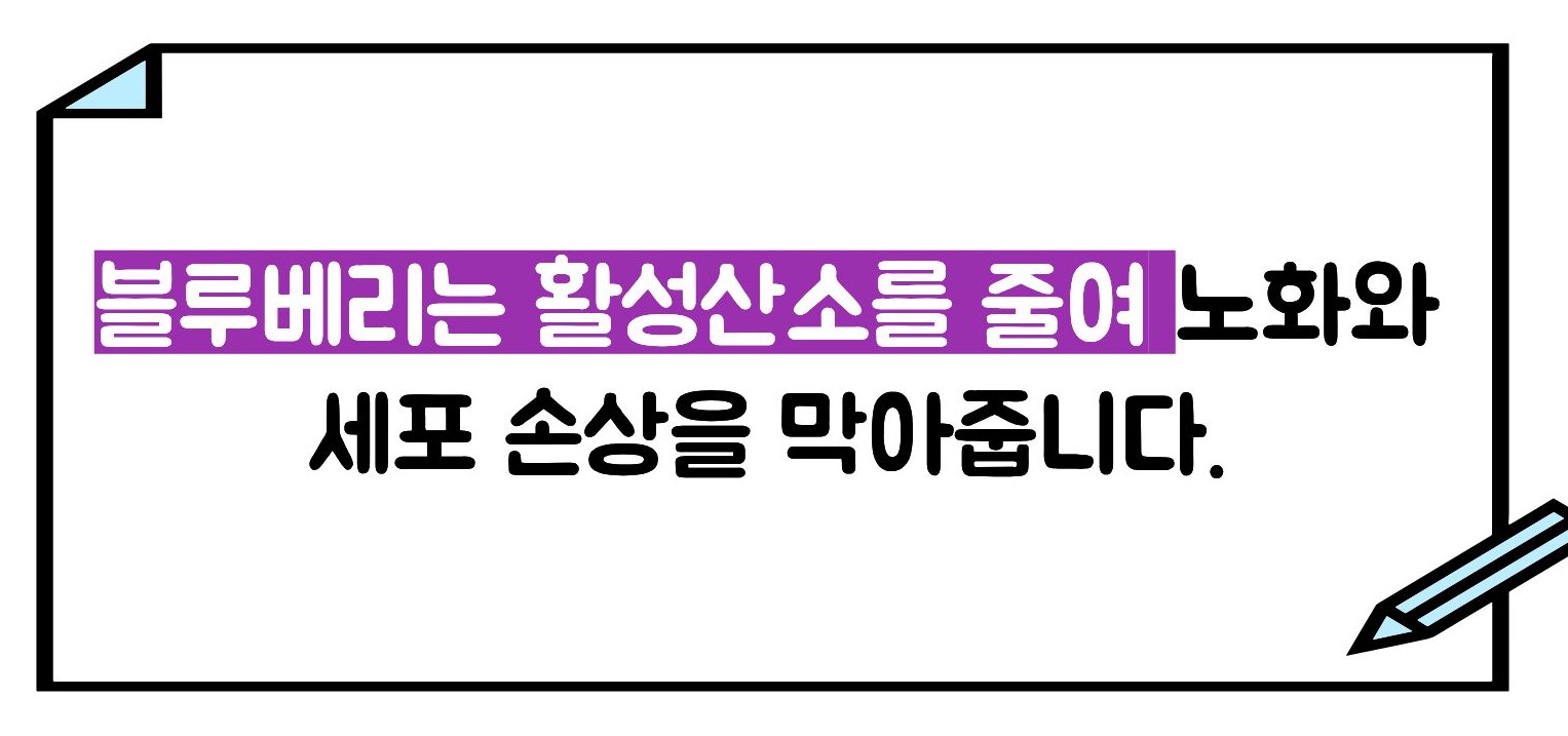 블루베리 효능 부작용