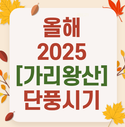 2025 가리왕산 단풍 여행 추천 ❘ 억새명소, 포토스팟, 가족 등산 코스