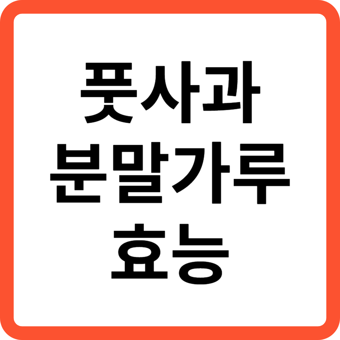 풋사과 분말가루 효능과 사용방법